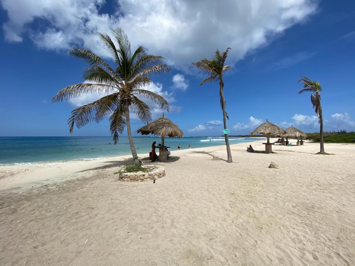 Luxury Ocean view Condo @ Aruba’s Palm Beach Esterno foto