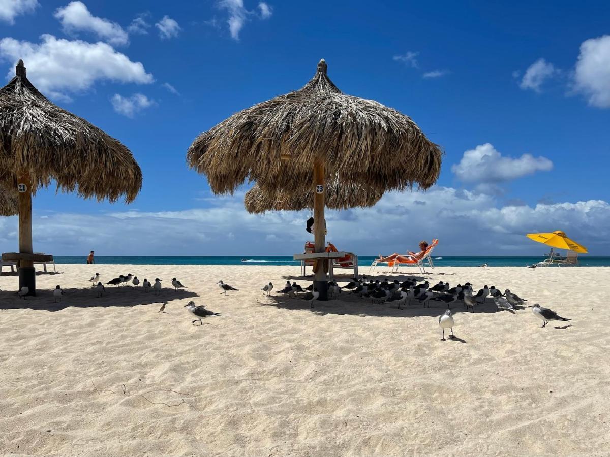 Luxury Ocean view Condo @ Aruba’s Palm Beach Esterno foto
